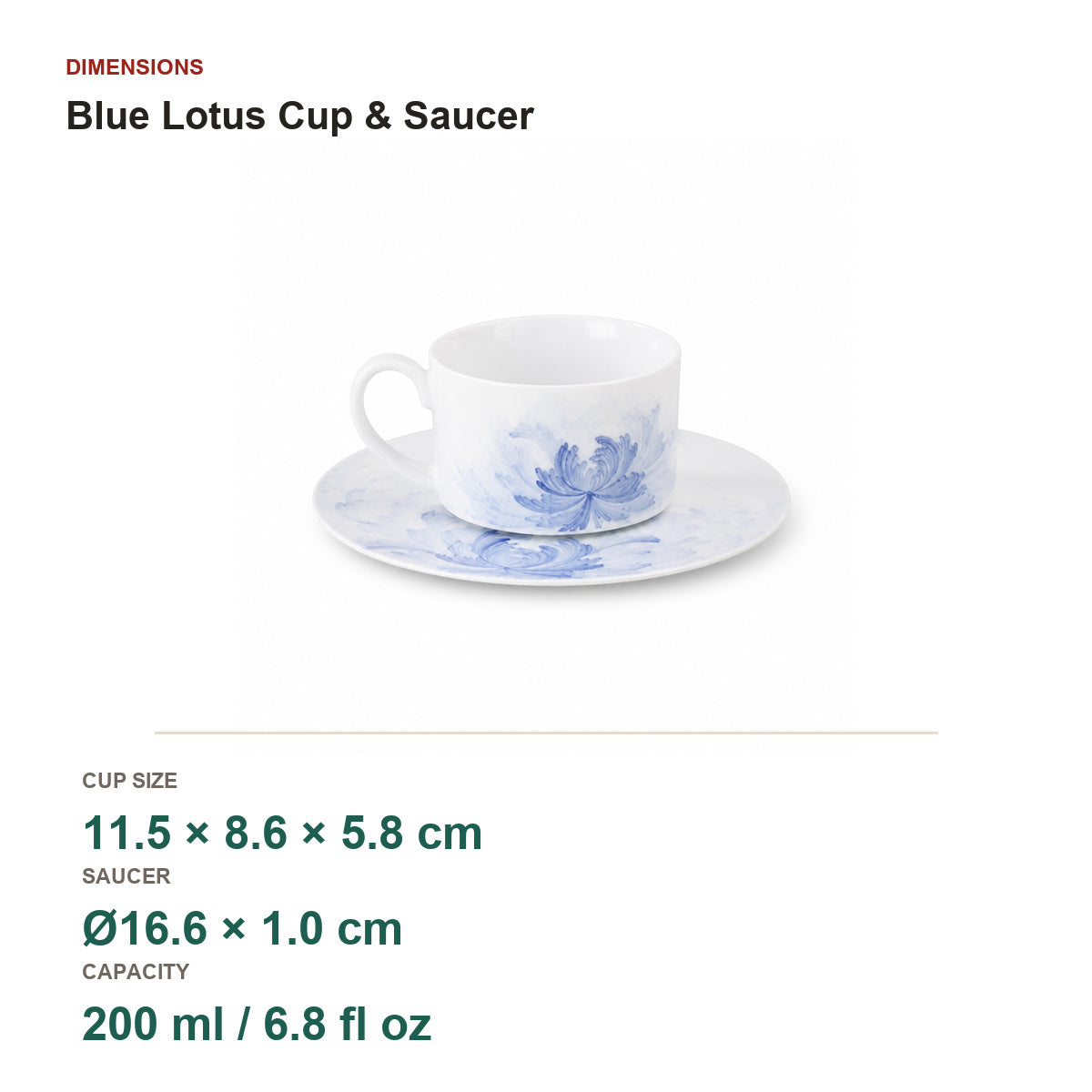 Blue Lotus cup and saucer dimensions and capacity on pure white