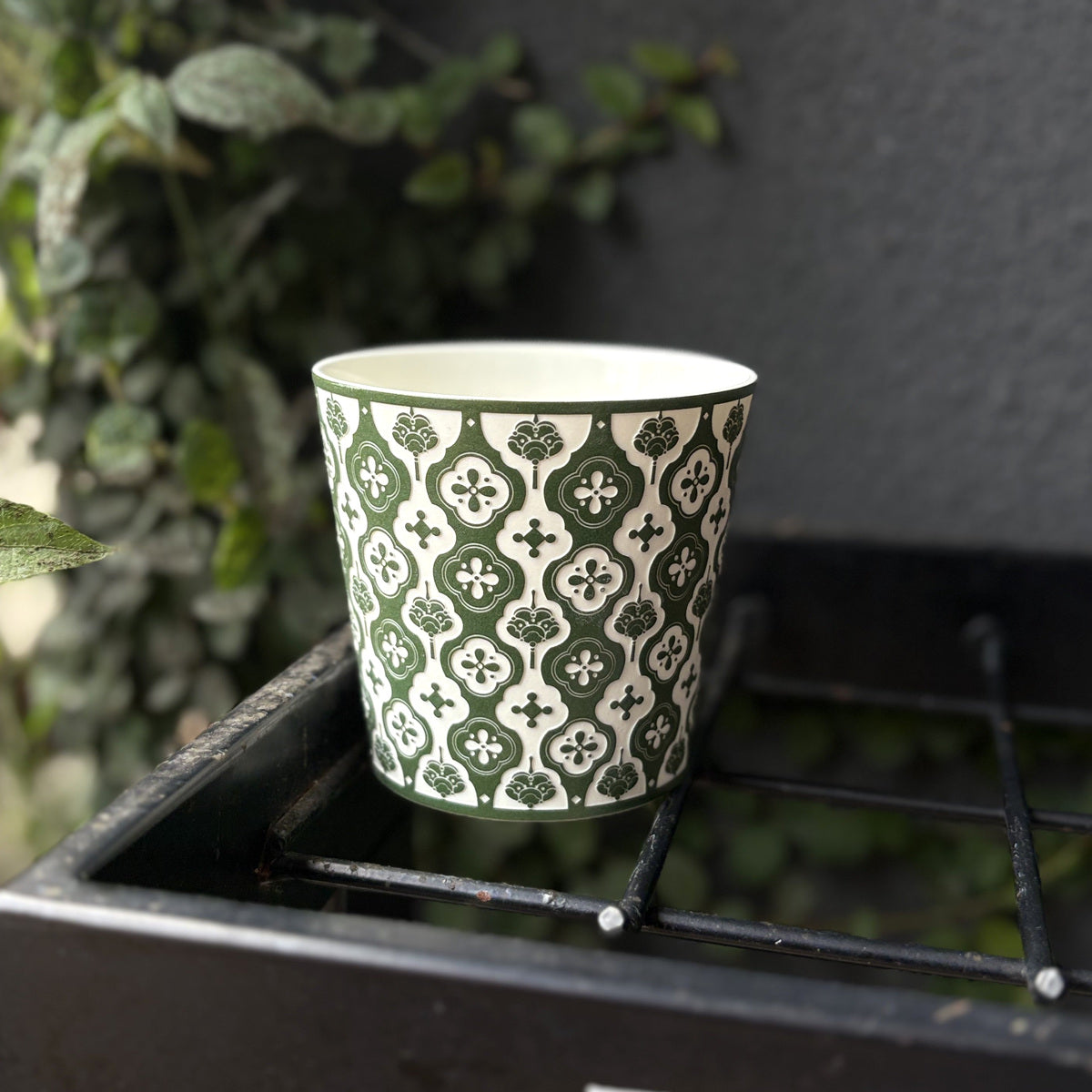 green Baoxiang Choko Cup — real product photograph
