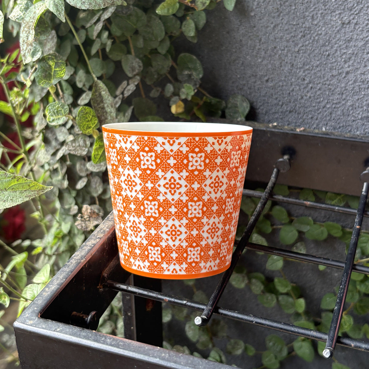 orange Fanhua Choko Cup — real product photograph