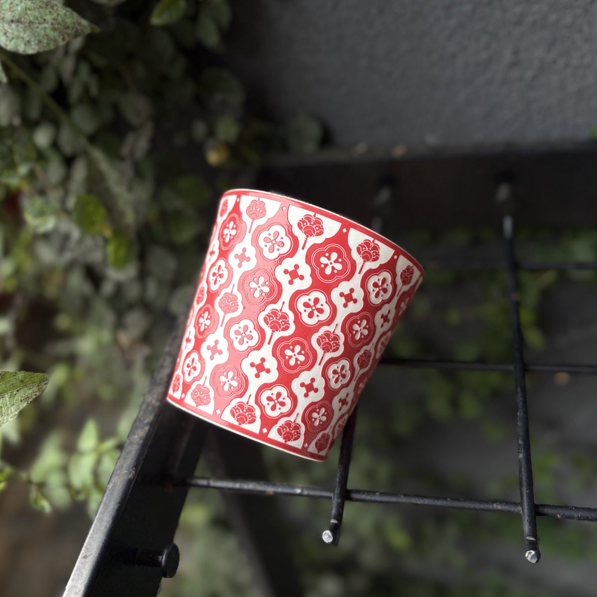 red Baoxiang Choko Cup — real product photograph