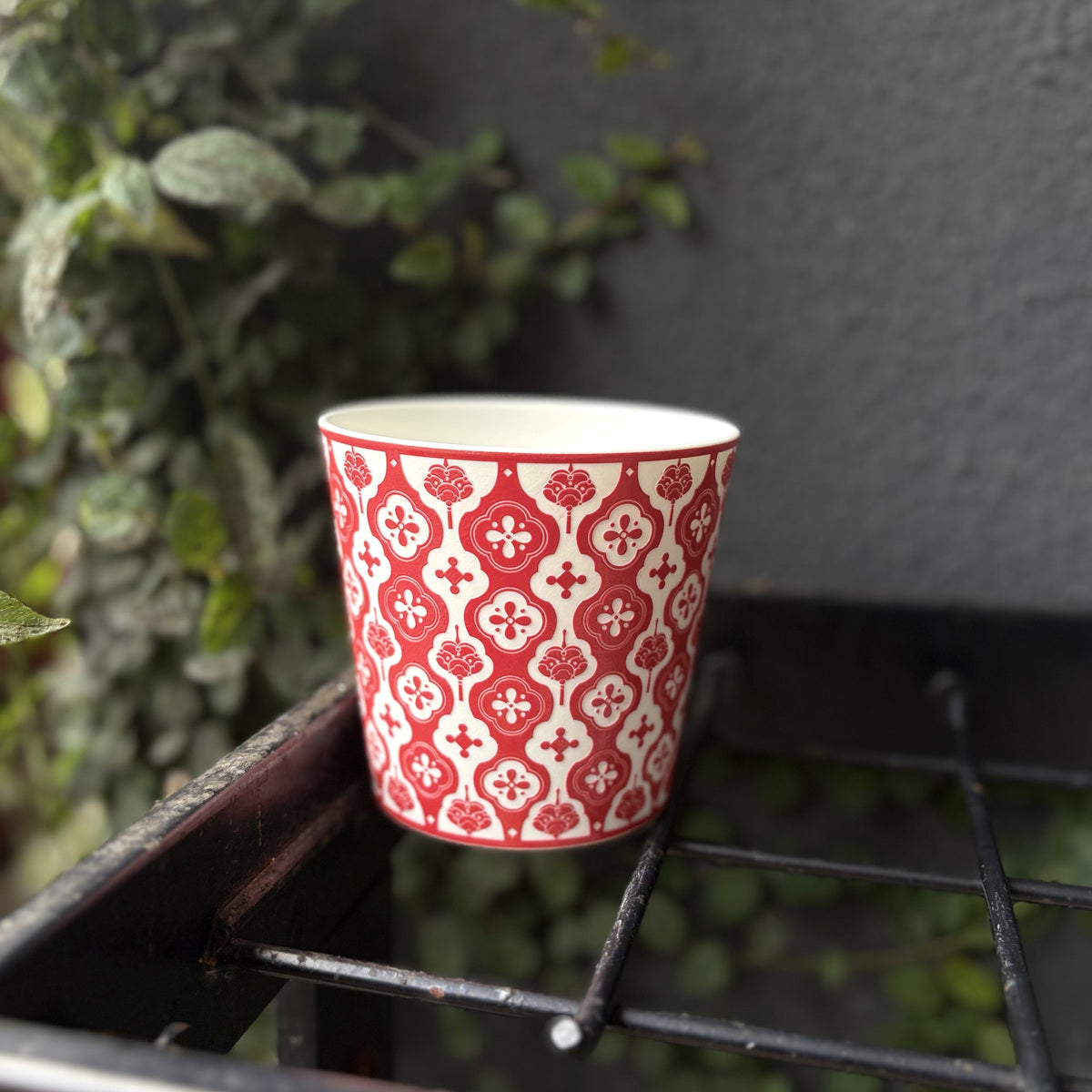 red Baoxiang Choko Cup — real product photograph