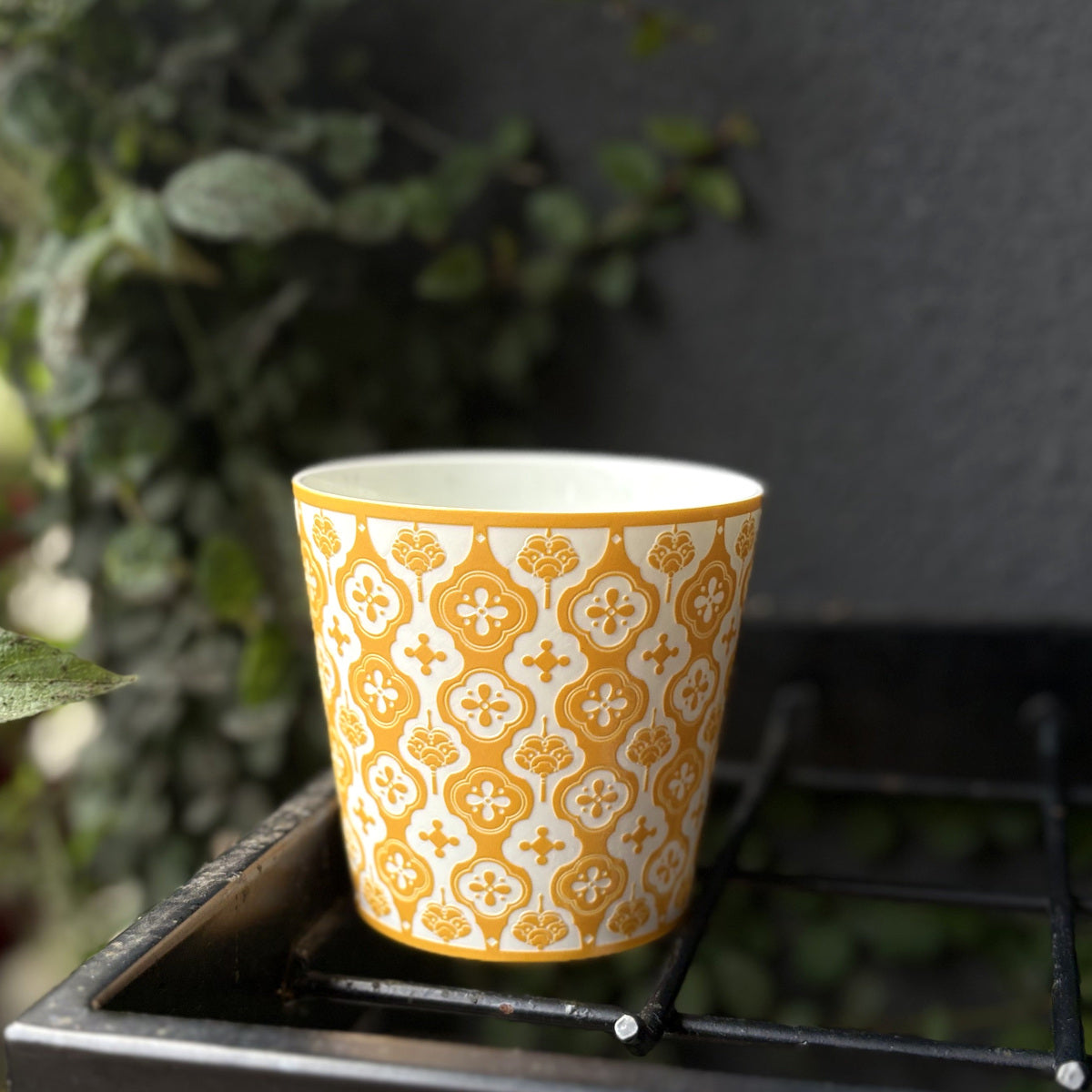 Yellow Baoxiang Choko Cup — real cafe shelf photograph